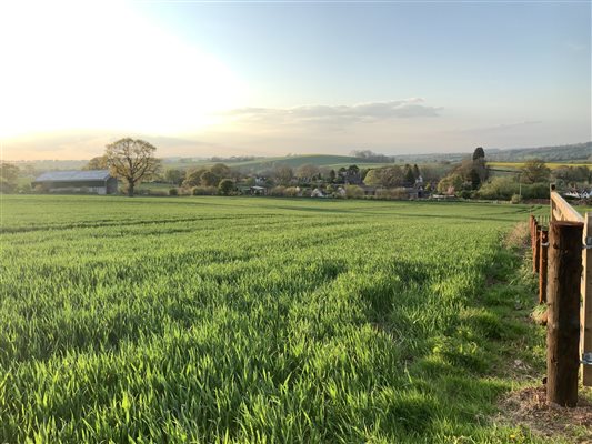 Farm View